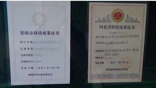 荣誉证书2